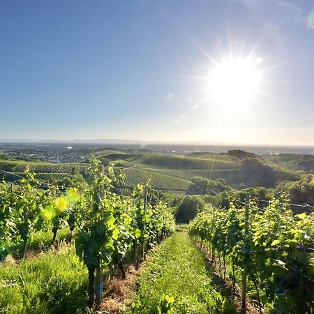 Ferienwohnungen Weingut Pieper Basler Offenburg Exterior foto